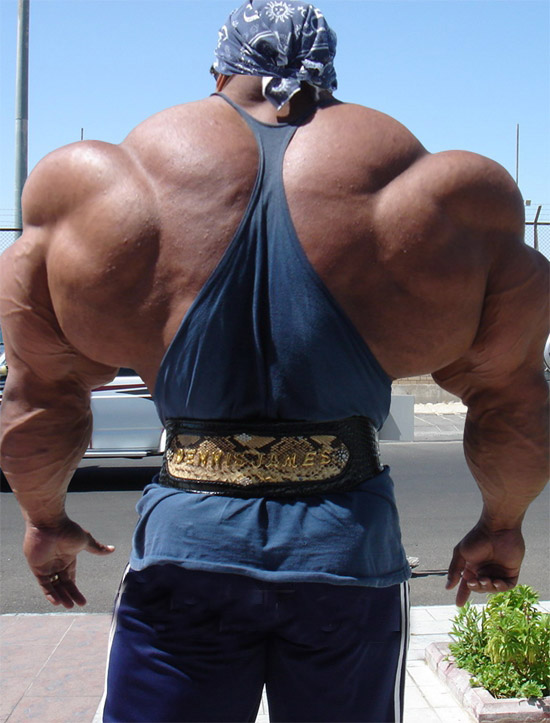 Steroid-back